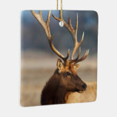 Portret van een verbluffende stier elelk keramisch ornament (Rechts)