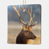 Portret van een verbluffende stier elelk keramisch ornament (Links)