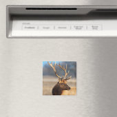 Portret van een verbluffende stier elelk magneet (Insitu (Vaatwasser))