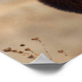 Portret van een verbluffende stier elelk poster (Hoek)