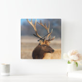 Portret van een verbluffende stier elelk vierkante klok (Huis)