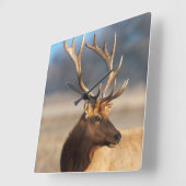 Portret van een verbluffende stier elelk vierkante klok (Hoek)