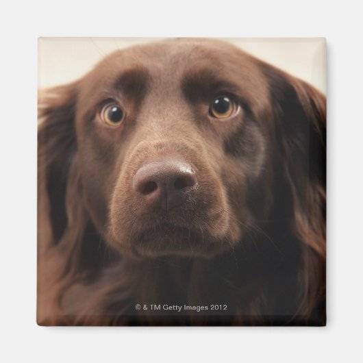 Portret van een verontrustend jong vrouw magneet (Voorkant)