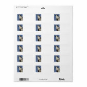 Portret van een visarend etiket (Full Sheet)