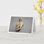 Portret van een vosje dat op de straat ligt kaart (Gele Bloem)