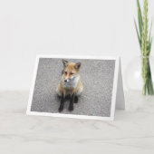 Portret van een vosje op straat kaart (Voorkant)