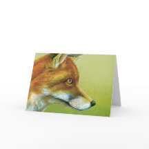 Portret van een vossenband voor dagelijks gebruik