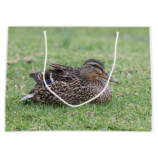 Portret van een vrouw mallard large cadeautasje (Voorkant)