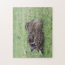 Portret van een vrouw mallard