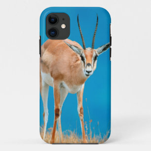 Portret van een vrouwelijke Grant's Gazelle (Gazel iPhone 11 Hoesje