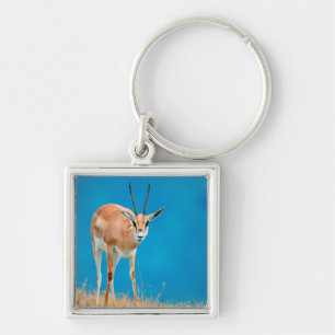 Portret van een vrouwelijke Grant's Gazelle (Gazel Sleutelhanger