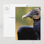 Portret van een wijnbouw briefkaart (Voorkant / Achterkant)