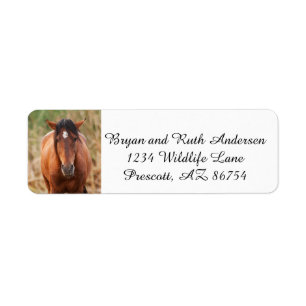 Portret van een Wild Mustang Etiket