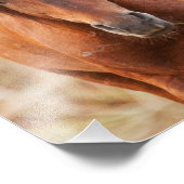 Portret van een Wild Mustang Foto Afdruk (Hoek)