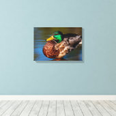 Portret van een Wilde Eend Canvas Afdruk (Insitu (Houten vloer))