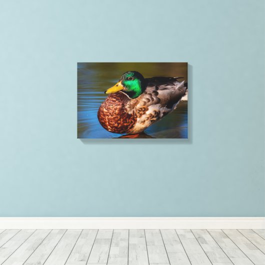 Portret van een Wilde Eend Canvas Afdruk (Insitu (Houten vloer))