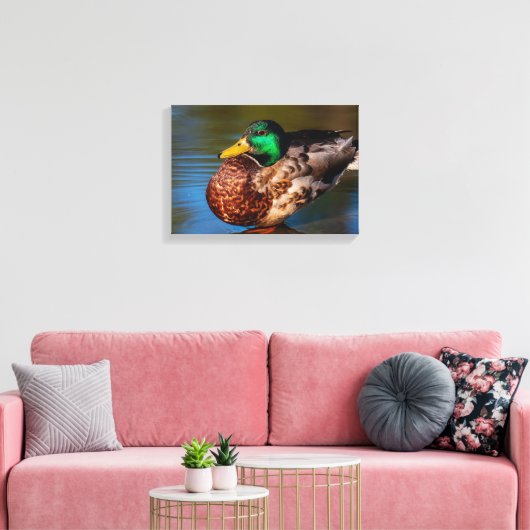 Portret van een Wilde Eend Canvas Afdruk (Insitu (Woonkamer))