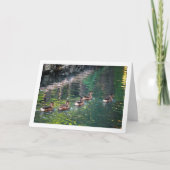 Portret van een Wilde Eend met Waterreflectie Kaart (Voorkant)