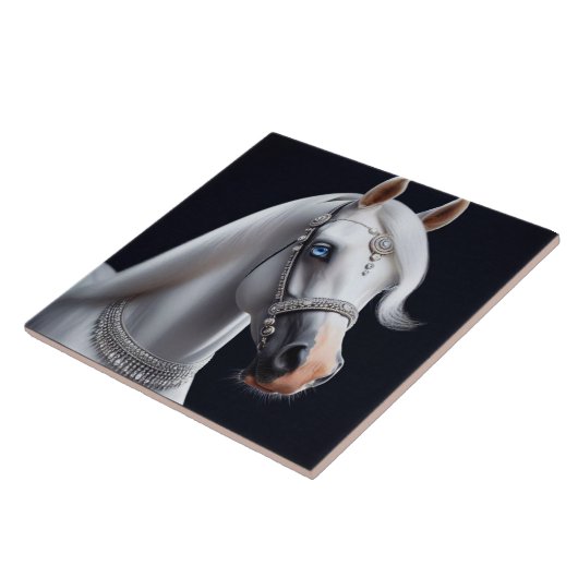 Portret van een wit Arabisch paard Tegeltje (Zijkant)