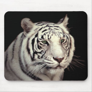 Portret van een Witte Bengale tijger Muismat