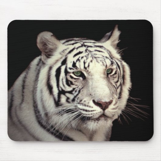 Portret van een Witte Bengale tijger Muismat (Voorkant)