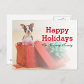 Portret van een witte en bruine Boston Terrier Feestdagenkaart (Voorkant / Achterkant)