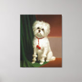 portret van een witte hond canvas afdruk (Voorkant)