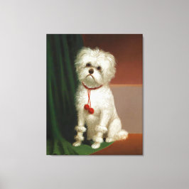  portret van een witte hond canvas afdruk