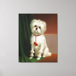 portret van een witte hond canvas afdruk