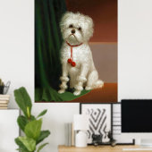  portret van een witte hond poster (Thuiskantoor)