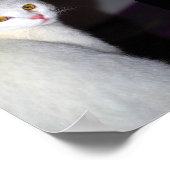 Portret van een witte kat poster (Hoek)