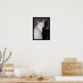 Portret van een witte kat poster (Keuken)
