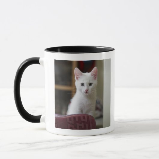 Portret van een witte kitten, Zweden. Mok (Links)