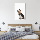Portret van een Yorkshire Terrier-hond Canvas Afdruk (Insitu (Slaapkamer))