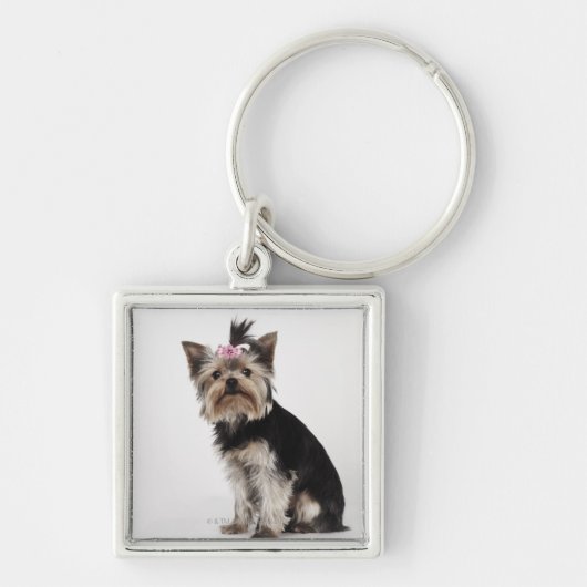 Portret van een Yorkshire Terrier-hond Sleutelhanger (Voorkant)