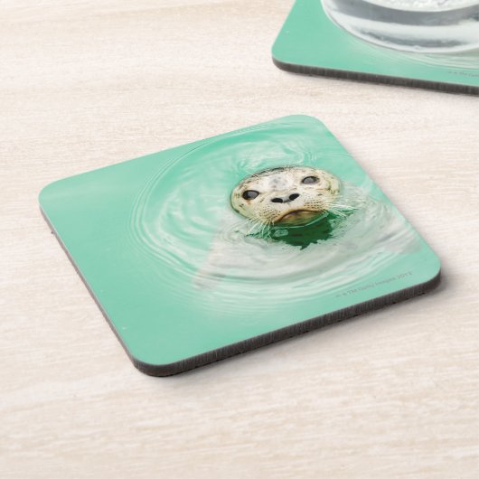 Portret van een zegel in water drankjes onderzetter (Linkerzijde)