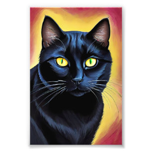 Portret van een zwarte kat met kleuren van de zons foto afdruk