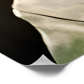 Portret van een zwarte kraai | AI Art Poster (Hoek)