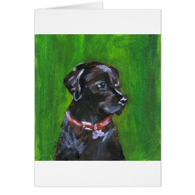 Portret van een zwarte labrador (Voorkant)