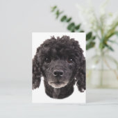 Portret van een zwarte poedel briefkaart (Staand voorkant)
