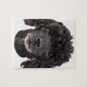 Portret van een zwarte poedel legpuzzel (Horizontaal)