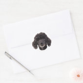 Portret van een zwarte poedel ronde sticker (Envelop)
