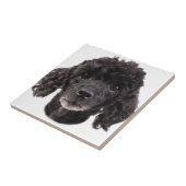 Portret van een zwarte poedel tegeltje (Zijkant)