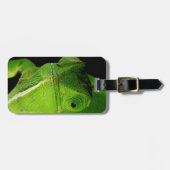 Portret van flap-necked chameleon bagagelabel (Voorkant horizontaal)