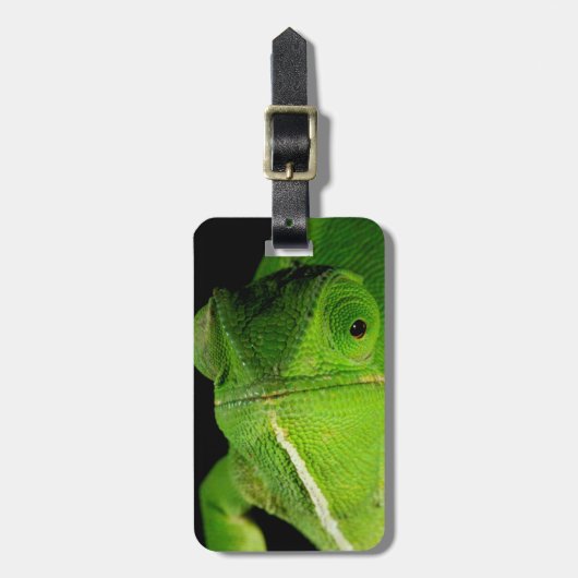 Portret van flap-necked chameleon bagagelabel (Voorkant verticaal)