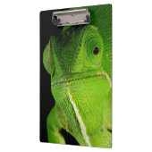 Portret van flap-necked chameleon klembord (Links)