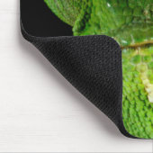 Portret van flap-necked chameleon muismat (Hoek)