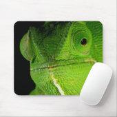 Portret van flap-necked chameleon muismat (Met muis)