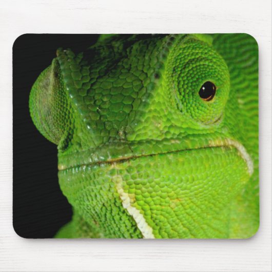 Portret van flap-necked chameleon muismat (Voorkant)