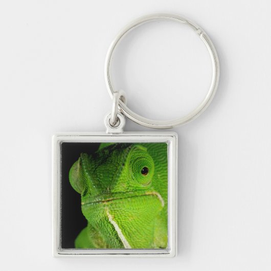 Portret van flap-necked chameleon sleutelhanger (Voorkant)